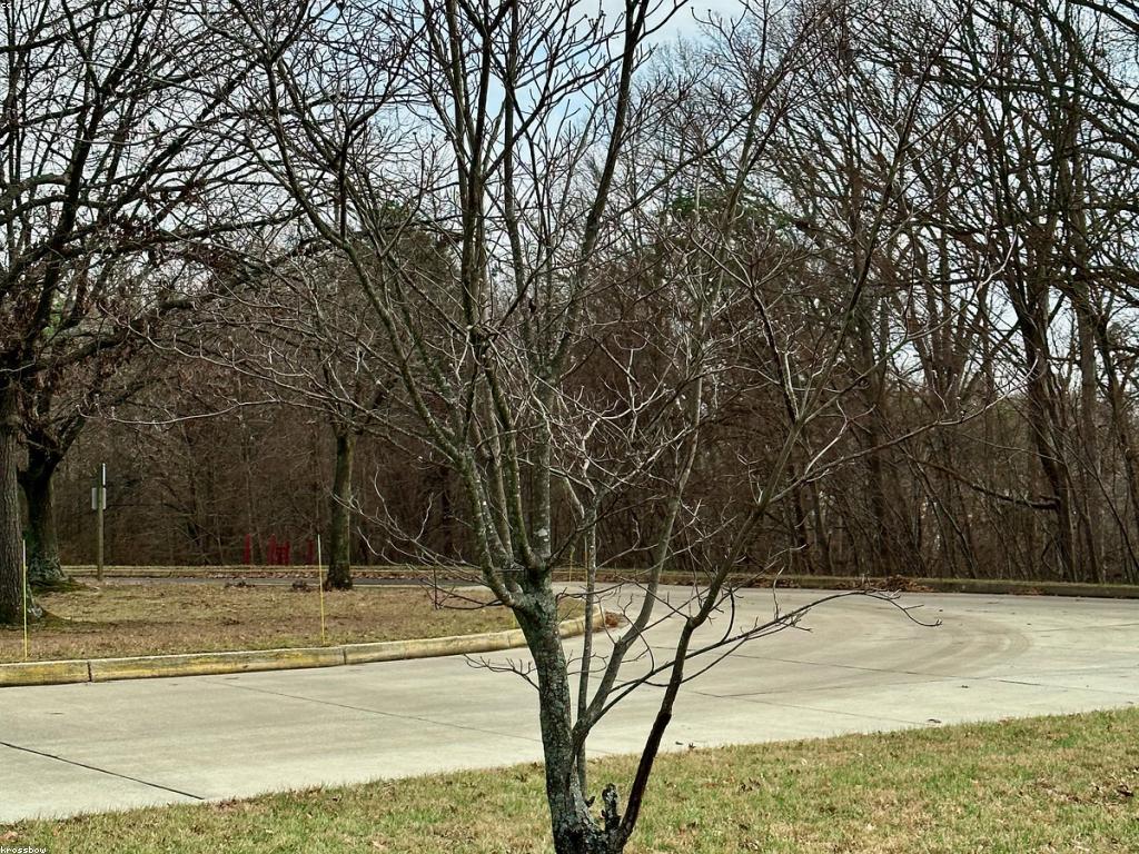 អនាគតនៃអប់រំ